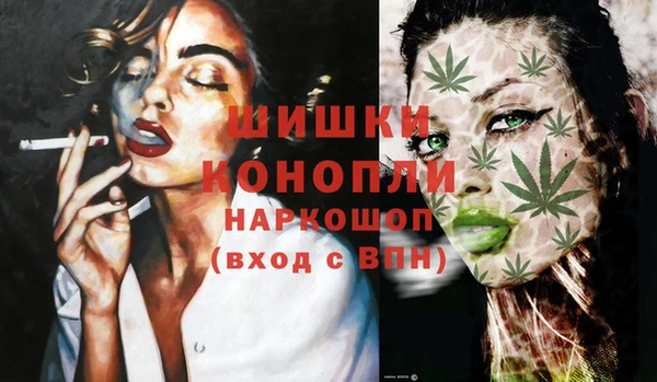 spice Володарск